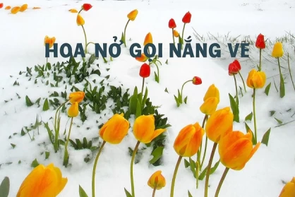 Hoa nở gọi nắng về