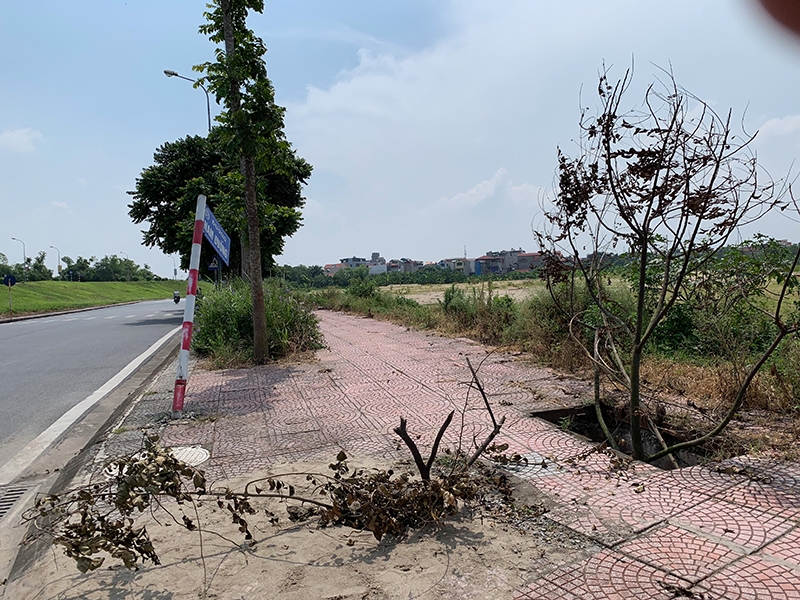 Lãnh đạo phường Thượng Thanh nói gì sau vụ người đàn ông tử vong dưới hố ga?