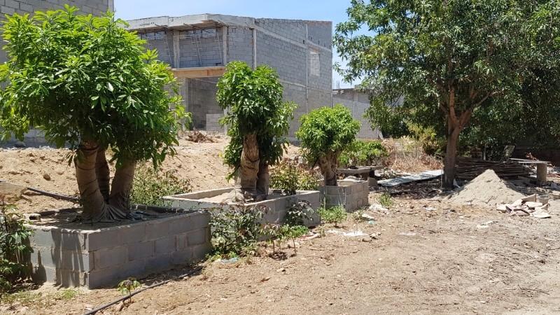 Tranh chấp đất kéo dài chưa được giải quyết ở Khánh Hòa: Khởi kiện nhiều quyết định ra tòa